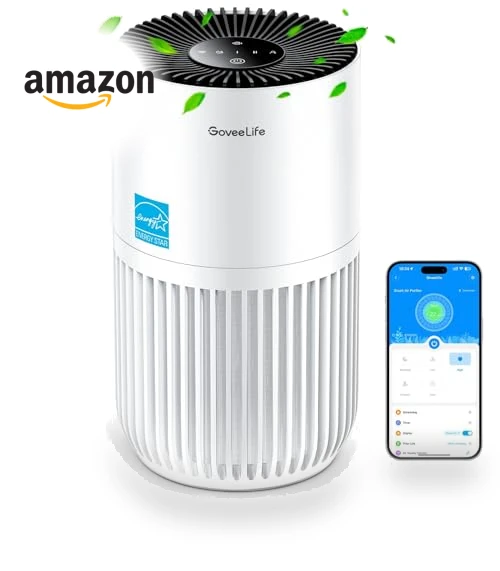 Mini Air Purifier with HEPA Smart Filter, App & Alexa Control — Electrostatic Air Purifiers, GoveeLife
