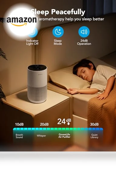 Mini Air Purifier with HEPA Smart Filter, App & Alexa Control — Electrostatic Air Purifiers, GoveeLife
