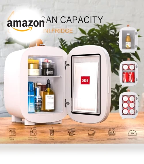 Mini Fridge for Bedroom Skincare Cooler & Warmer Portable Small Refrigerator — Mini Fridges, Hansburg