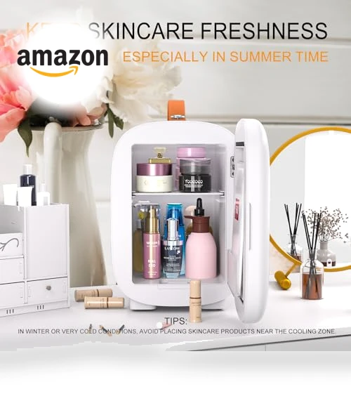 Mini Fridge for Bedroom Skincare Cooler & Warmer Portable Small Refrigerator — Mini Fridges, Hansburg