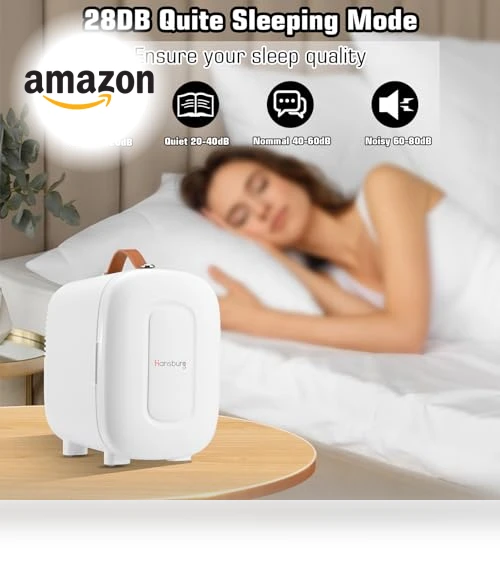 Mini Fridge for Bedroom Skincare Cooler & Warmer Portable Small Refrigerator — Mini Fridges, Hansburg