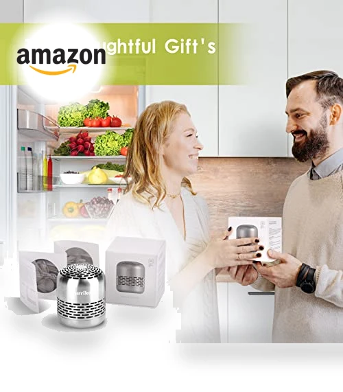 10-Year Refrigerator Deodorizer with CH-cut Technology — Mini Fridges, Toprain