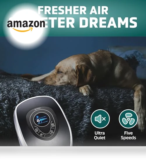 5-In-1 HEPA Air Purifier for Home, Large Rooms Up To 915 Sq. Ft. — Activated Carbon Air Purifiers, Guardian Technologies, LLC