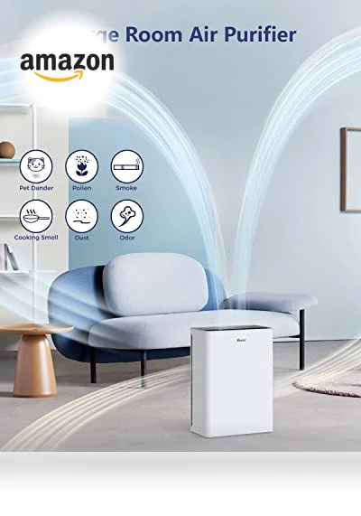 H13 HEPA Air Purifier for Large Rooms up to 2200 sqft with Fragrance Sponge and Timer — Activated Carbon Air Purifiers, VEWIOR
