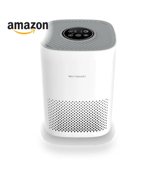 H13 True HEPA Air Purifier for Home - Portable Air Cleaner with Quiet Sleep Mode — Activated Carbon Air Purifiers, WATTSMART