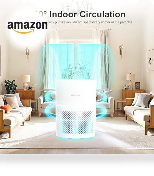 H13 True HEPA Air Purifier for Home - Portable Air Cleaner with Quiet Sleep Mode — Activated Carbon Air Purifiers, WATTSMART
