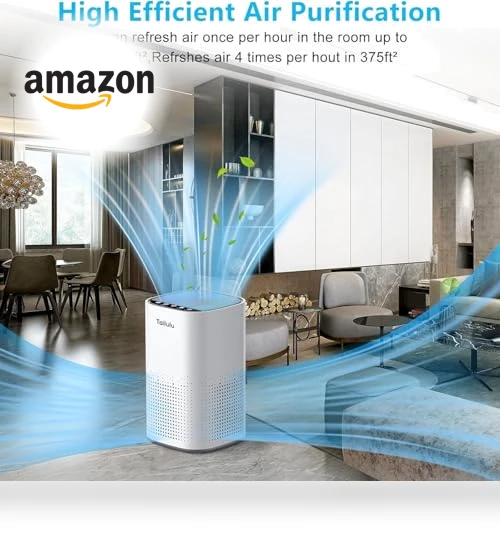 H13 True HEPA Air Purifier for Large Rooms up to 1500ft² — Activated Carbon Air Purifiers, Tailulu