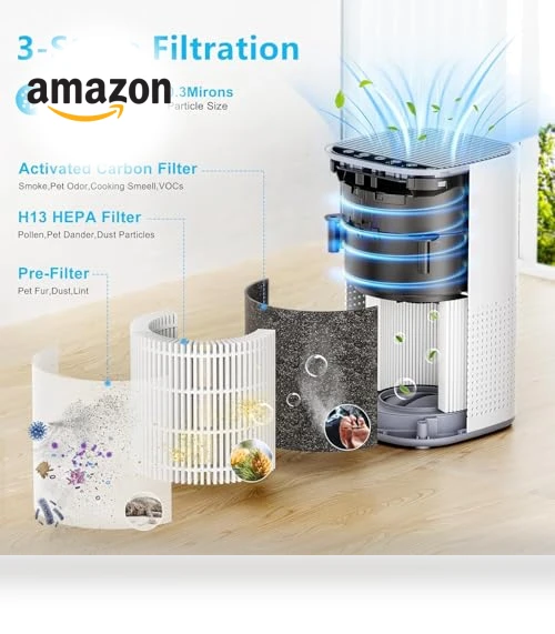 H13 True HEPA Air Purifier for Large Rooms up to 1500ft² — Activated Carbon Air Purifiers, Tailulu