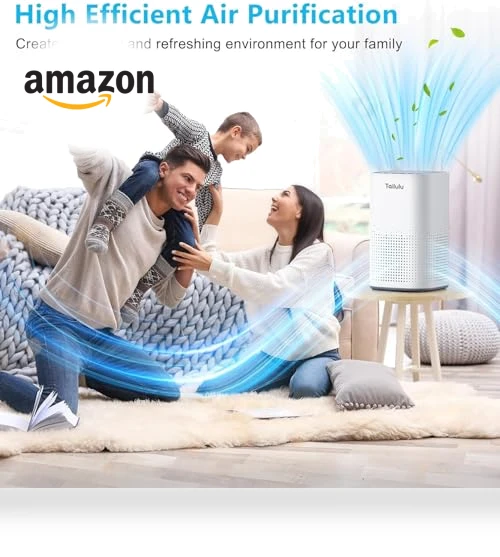 H13 True HEPA Air Purifier for Large Rooms up to 1500ft² — Activated Carbon Air Purifiers, Tailulu