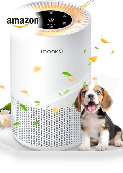 H13 True HEPA Air Purifier for Large Rooms up to 1200ft² — Air Moisturizers, Mooka