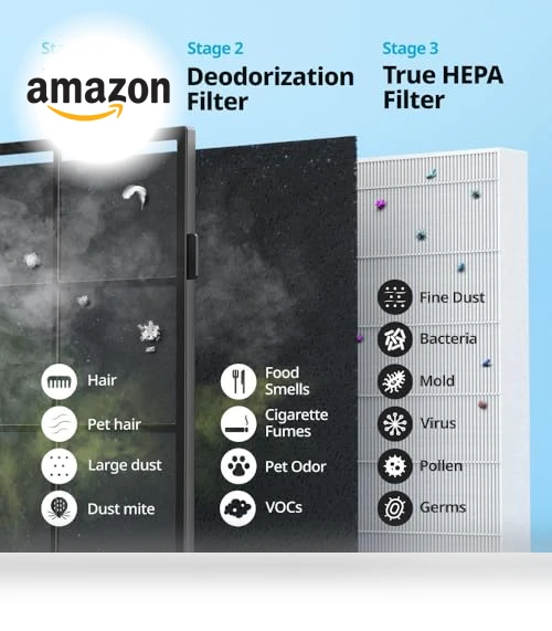 True HEPA Air Purifier with Air Quality Monitoring, Auto, Timer, Filter Indicator, and Eco Mode — HEPA Air Purifiers, Coway