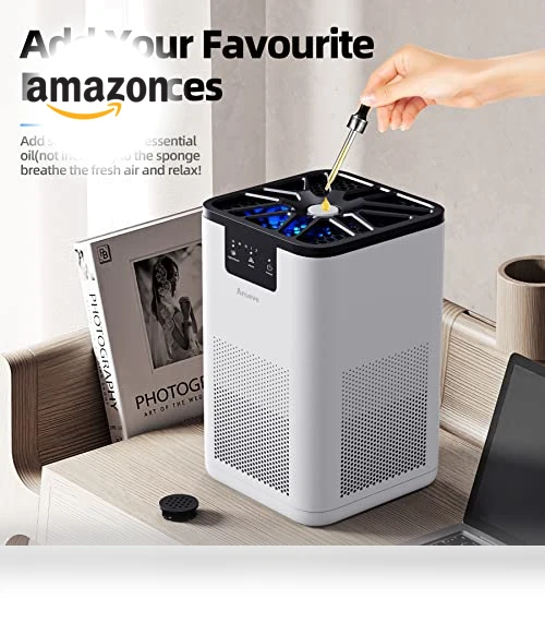 Air Purifier With Aromatherapy Function — Activated Carbon Air Purifiers, AROEVE