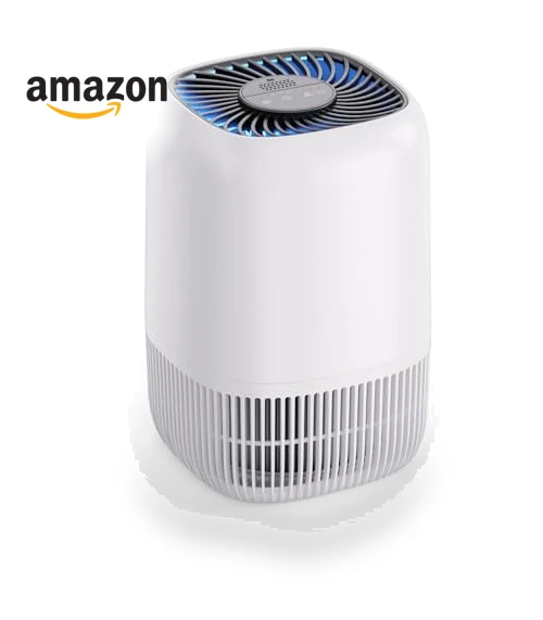 Air Purifier with H13 True HEPA Filter — Activated Carbon Air Purifiers, VOOPNU