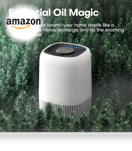 Air Purifier with H13 True HEPA Filter — Activated Carbon Air Purifiers, VOOPNU