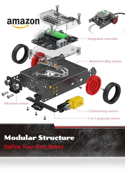 Coding & Remote Control Robot Kit for Kids — Interactive Figures & Robots, Whalesbot