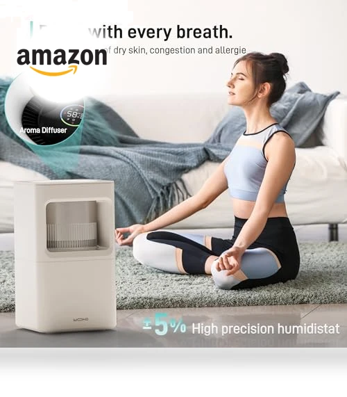 Evaporative Humidifier — Air Moisture Control, Wooohoo