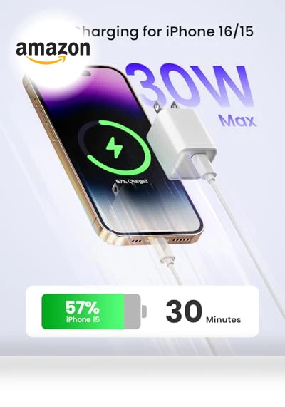 Fast Wall Charger — Wall Chargers, wegear