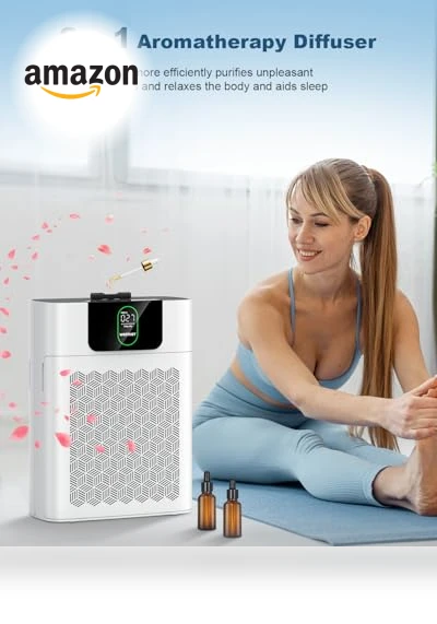 HEPA Air Purifier for Large Rooms — Activated Carbon Air Purifiers, WESTHEY