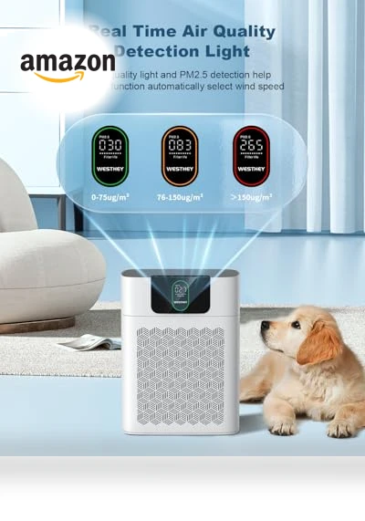 HEPA Air Purifier for Large Rooms — Activated Carbon Air Purifiers, WESTHEY