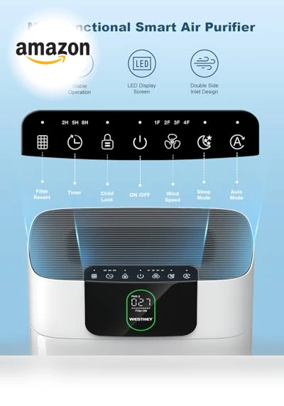 HEPA Air Purifier for Large Rooms — Activated Carbon Air Purifiers, WESTHEY
