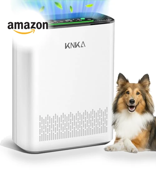 HEPA Air Purifier for Large Rooms — Activated Carbon Air Purifiers, KNKA