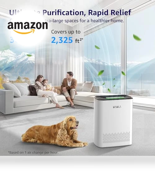 HEPA Air Purifier for Large Rooms — Activated Carbon Air Purifiers, KNKA
