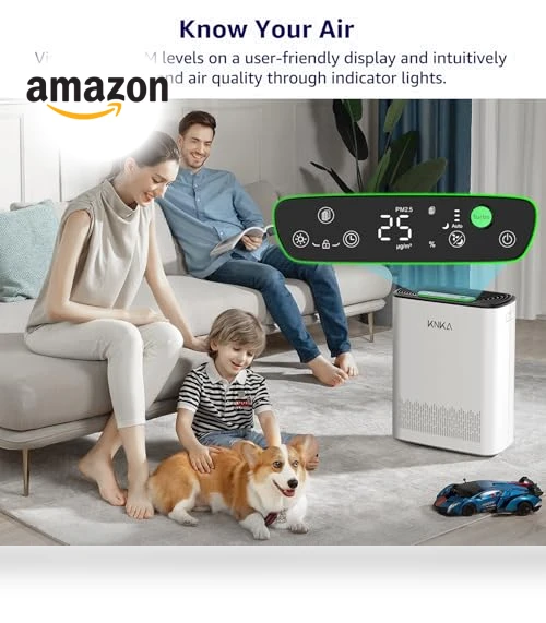 HEPA Air Purifier for Large Rooms — Activated Carbon Air Purifiers, KNKA