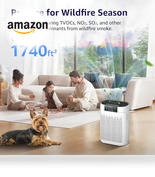 Hepa Air Purifier with Air Quality Monitor — HEPA Air Purifiers, KNKA