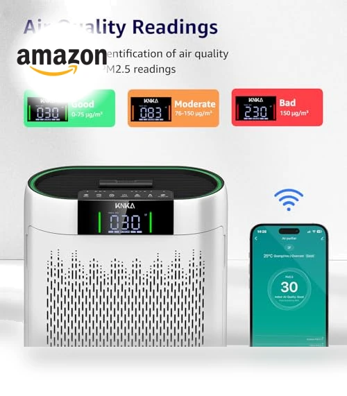 Hepa Air Purifier with Air Quality Monitor — HEPA Air Purifiers, KNKA