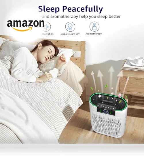Hepa Air Purifier with Air Quality Monitor — HEPA Air Purifiers, KNKA