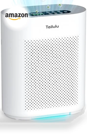Large Room Air Purifier with H14 HEPA Filter — Activated Carbon Air Purifiers, Tailulu