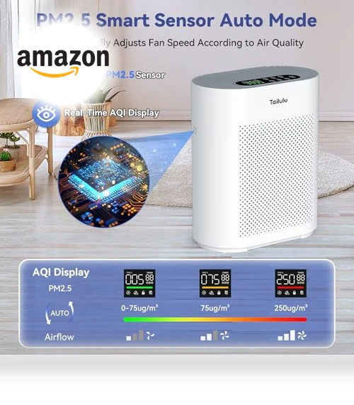 Large Room Air Purifier with H14 HEPA Filter — Activated Carbon Air Purifiers, Tailulu