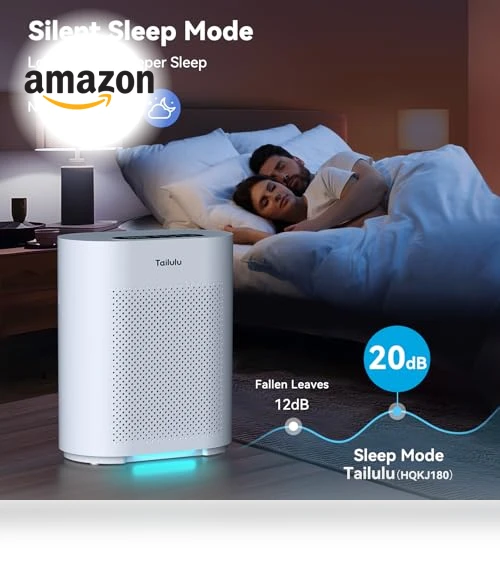 Large Room Air Purifier with H14 HEPA Filter — Activated Carbon Air Purifiers, Tailulu