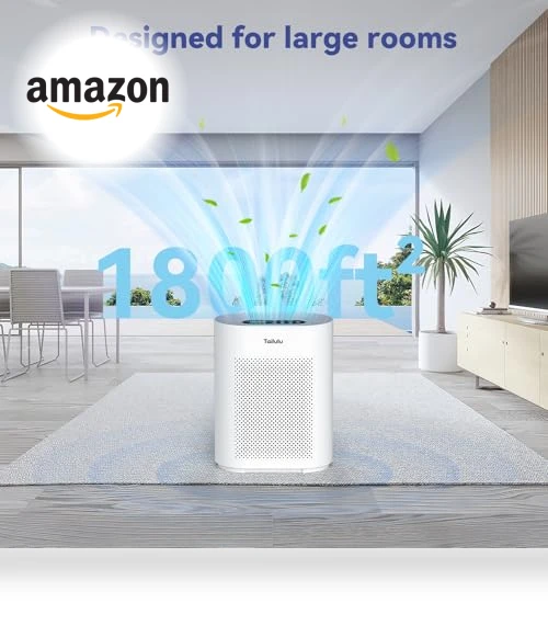 Large Room Air Purifier with H14 HEPA Filter — Activated Carbon Air Purifiers, Tailulu