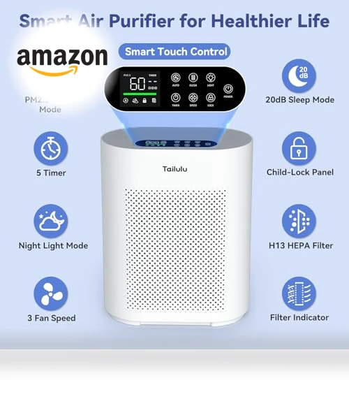 Large Room Air Purifier with H14 HEPA Filter — Activated Carbon Air Purifiers, Tailulu