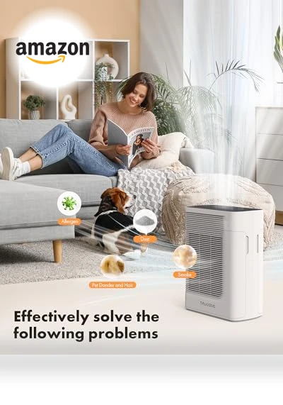 Large Room Air Purifier — Electrostatic Air Purifiers, Trucozie