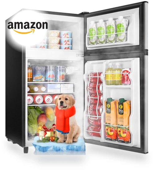 Mini Fridge with Freezer Compact Refrigerator — Mini Fridges, WANAI
