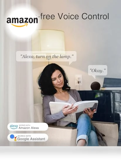 Smart Mini Plug — Smart Home Hubs & Controllers, GHome Smart