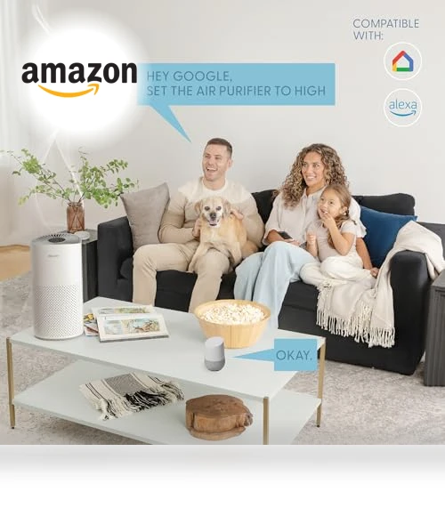 Smart WiFi & Voice Control True HEPA Air Purifier — Activated Carbon Air Purifiers, BlissAer
