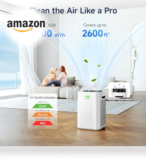 Double-Sided HEPA Air Purifier — Activated Carbon Air Purifiers, LUNINO