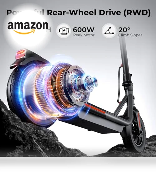 Electric Scooter with 10" Tires and 600W Peak Motor — Electric Self-Balancing Scooters, SISIGAD