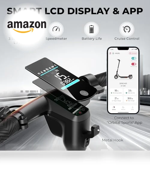 Electric Scooter with 10" Tires and 600W Peak Motor — Electric Self-Balancing Scooters, SISIGAD