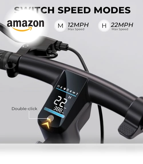 Electric Scooter with 10" Tires and 600W Peak Motor — Electric Self-Balancing Scooters, SISIGAD