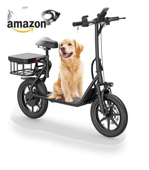 Electric Scooter with Seat — Electric Vehicles, NAVIC