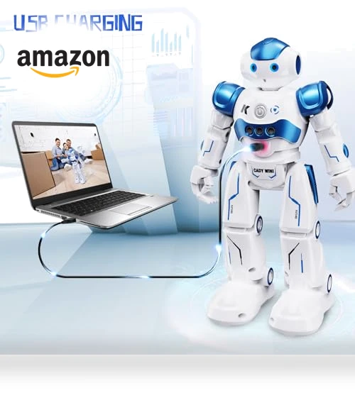 Gesture Sensing Programmable Rechargeable Remote Control Robot — Interactive Figures & Robots, SGILE
