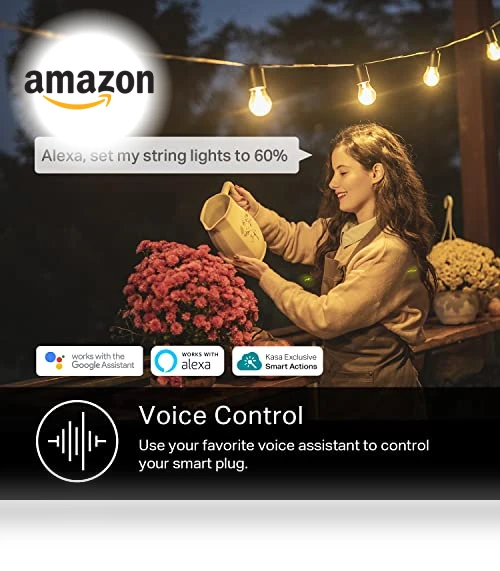 Outdoor Smart Plug — Smart Home Modules, Kasa Smart