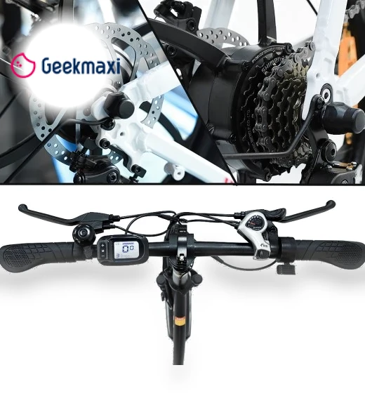 20" Tire Foldable City Electric Bike — Electric Self-Balancing Scooters, Fafrees