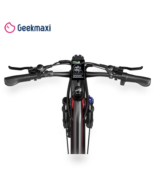 Electric Bike — Electric Self-Balancing Scooters, RANDRIDE