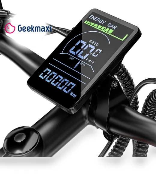 Electric Bike — Electric Self-Balancing Scooters, RANDRIDE