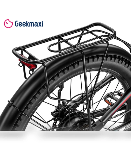 Electric Bike — Electric Self-Balancing Scooters, RANDRIDE